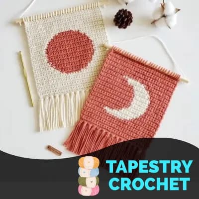 Curso Tapestry Crochet